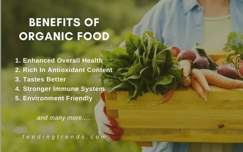 5 Ways By Which Organic Foods Help In Boosting Your Immune System