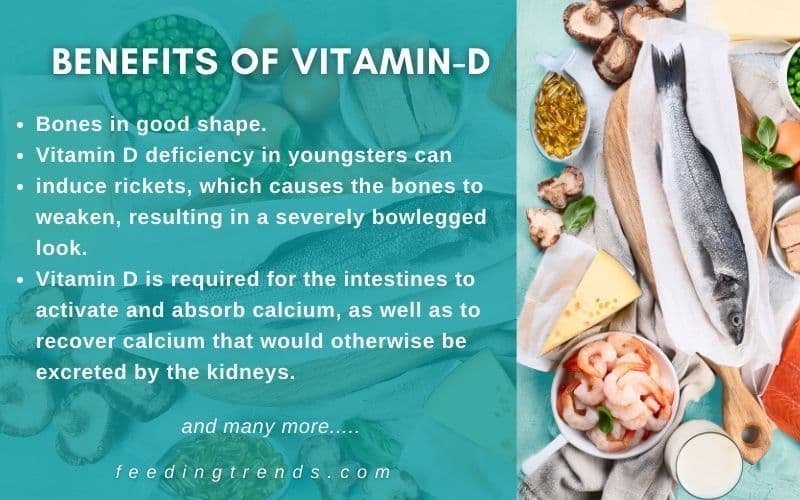 Vitamin D And It's Needs That Everyone Must Know