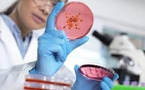 Bioburden Testing Market Report, Latest Trends
