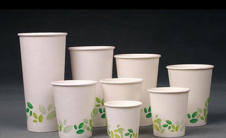 Biodegradable Cups Market | Global Industry Trends, Segmentation 