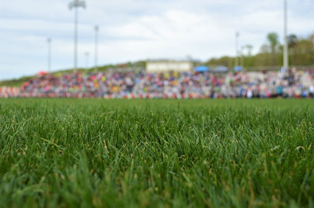 Pallekele International Cricket Stadium: Facts