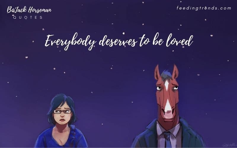 40 BoJack Horseman Quotes That Defines The Life