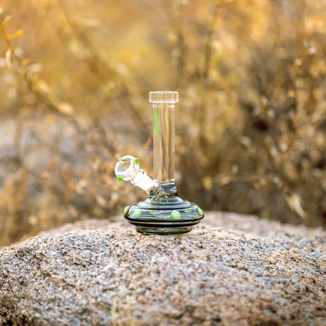 How to Choose the Best Perculator for Your Bong