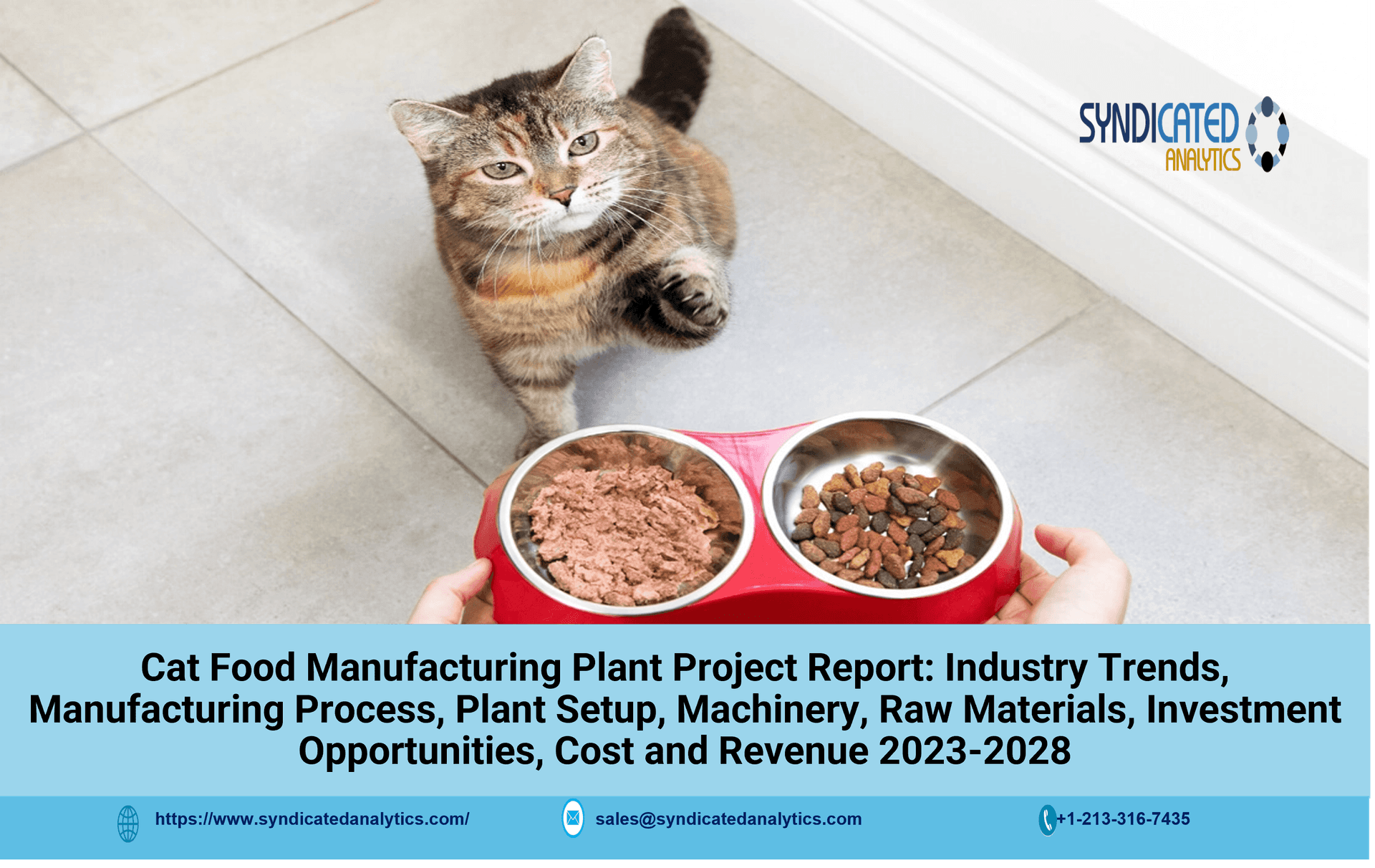 Detailed Project Report on Cat Food Manufacturing  2023-2028 
