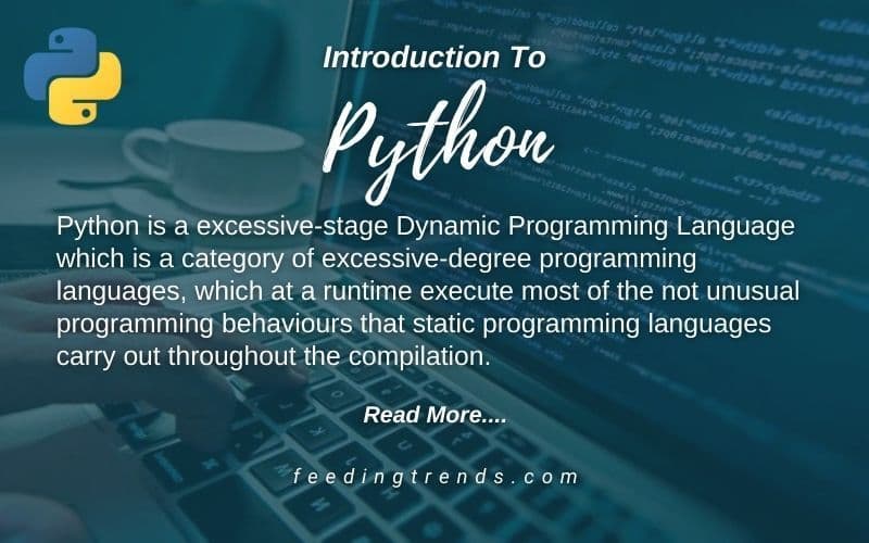 Introduction To Python