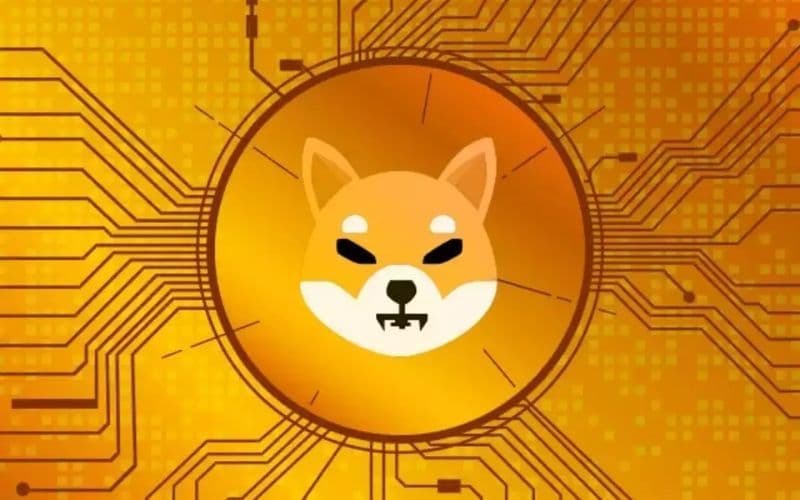 Article On Shiba Inu Coin Best Price Predictions