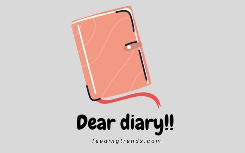 Dear Diary (Day-4)