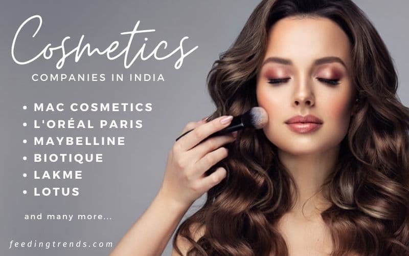 15 Cosmetics Companies In India Which Are Disrupting Indian Cosmetics Tradition