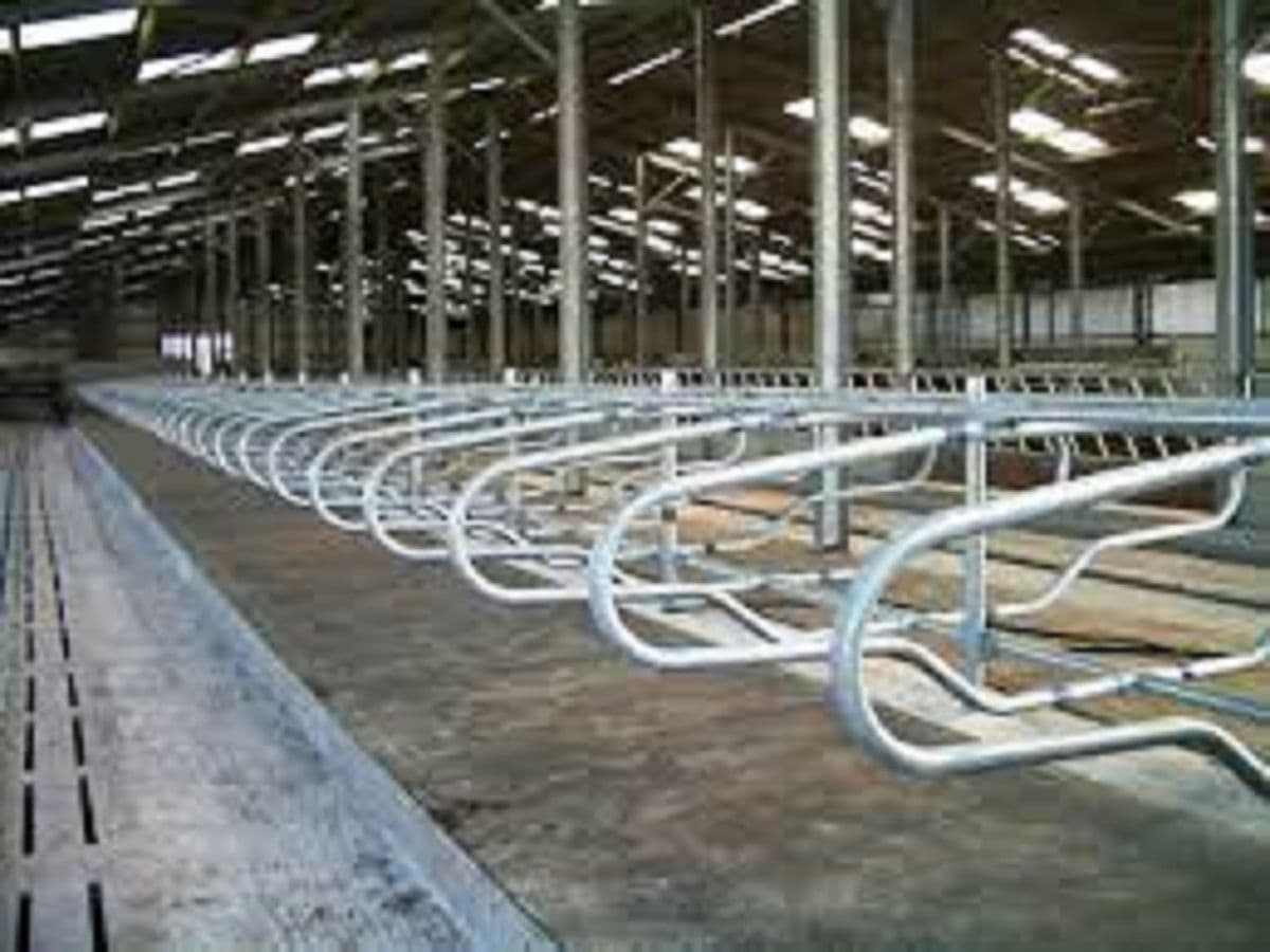 Cow Cubicles Market Share, Trades and Analysis Report Till 2028
