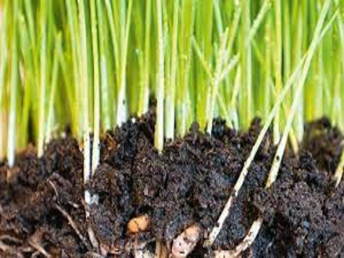 Crop Nutrient Management Market 2022 Key Players Analysis Report