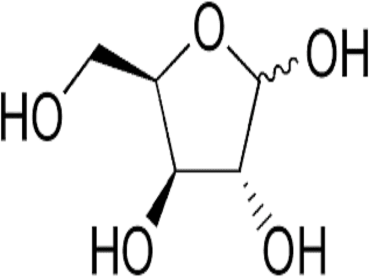 D-Xylose Market Forecast 2022 to 2028 
