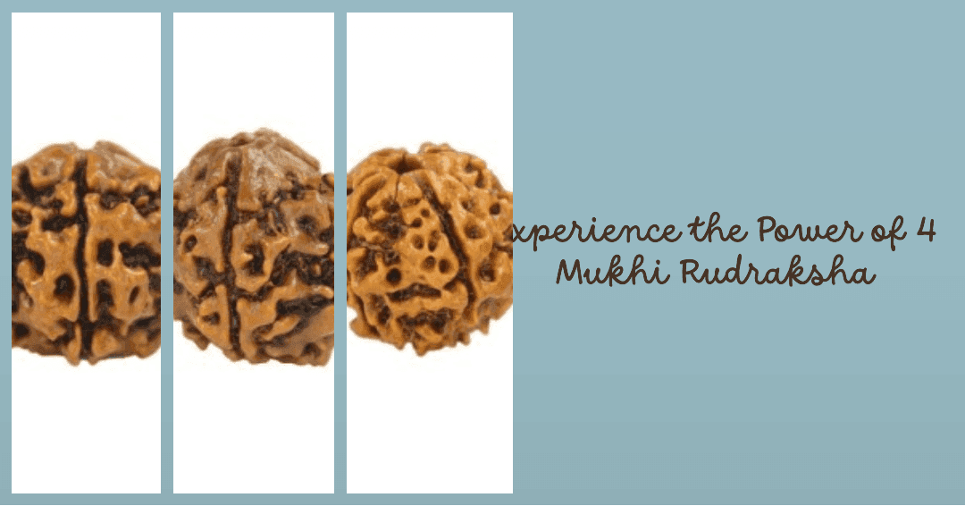 4 Mukhi Rudraksha: Benefits, Powers and Significance