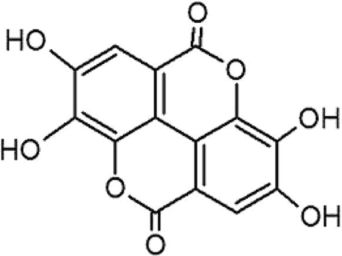 Ellagic Acid Market Report 2022 With Analysis of Covid-19 Impact
