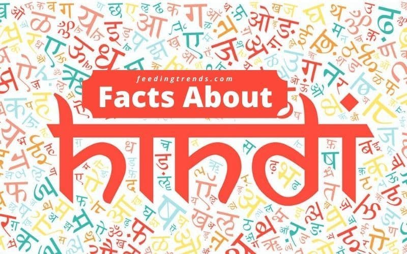 25 Facts About Hindi That Makes It One Of The Purest Language Of The World