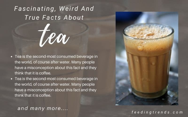 40 Facts About Tea Which Are Fascinating, Weird And True