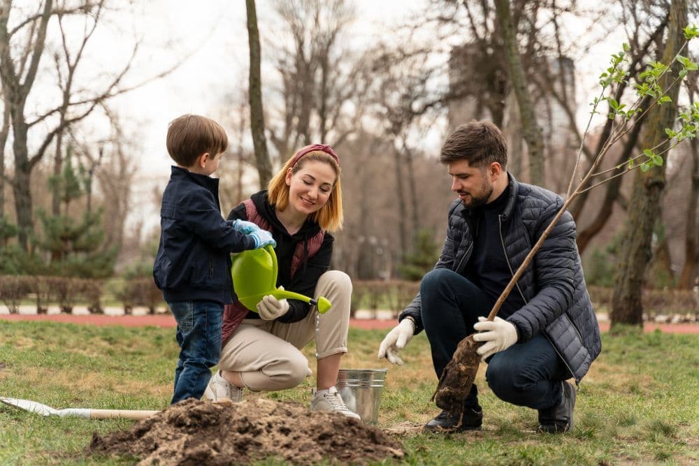 Gabes Family Landscaping: Creating Beautiful Outdoor Spaces
