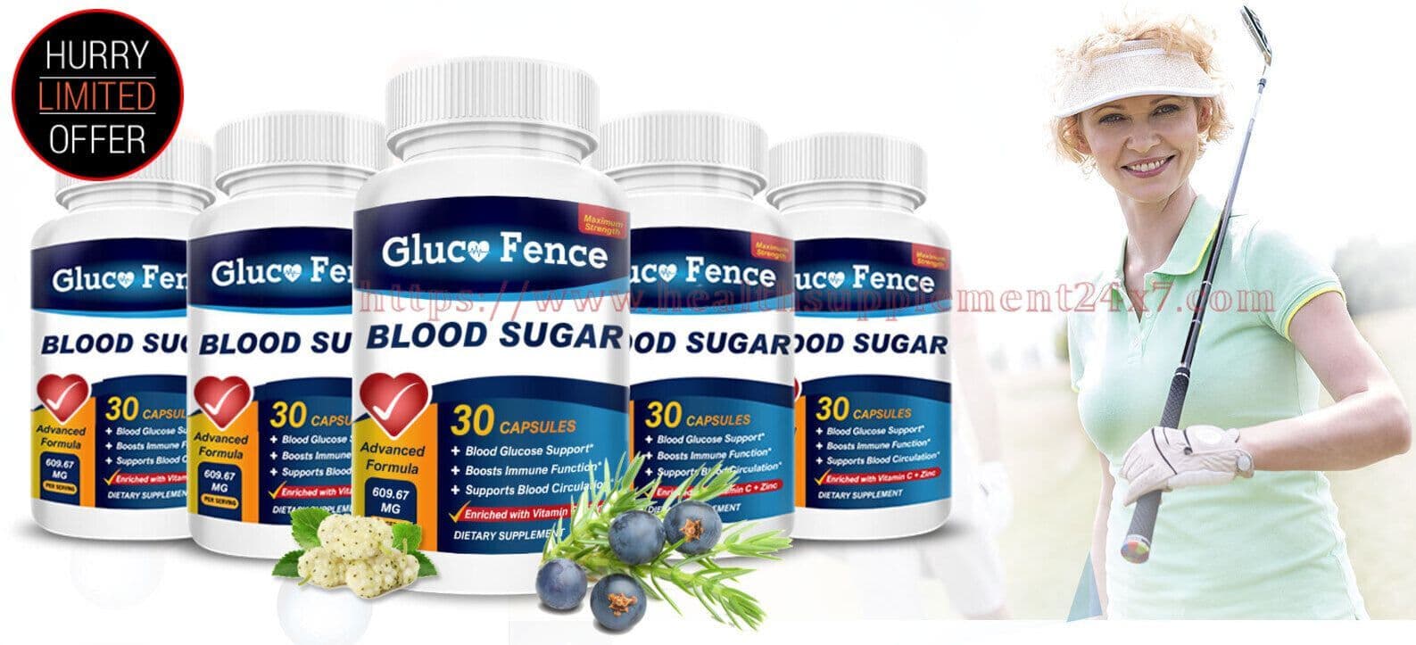 Gluco Fence Blood Sugar Formula Price Reviews