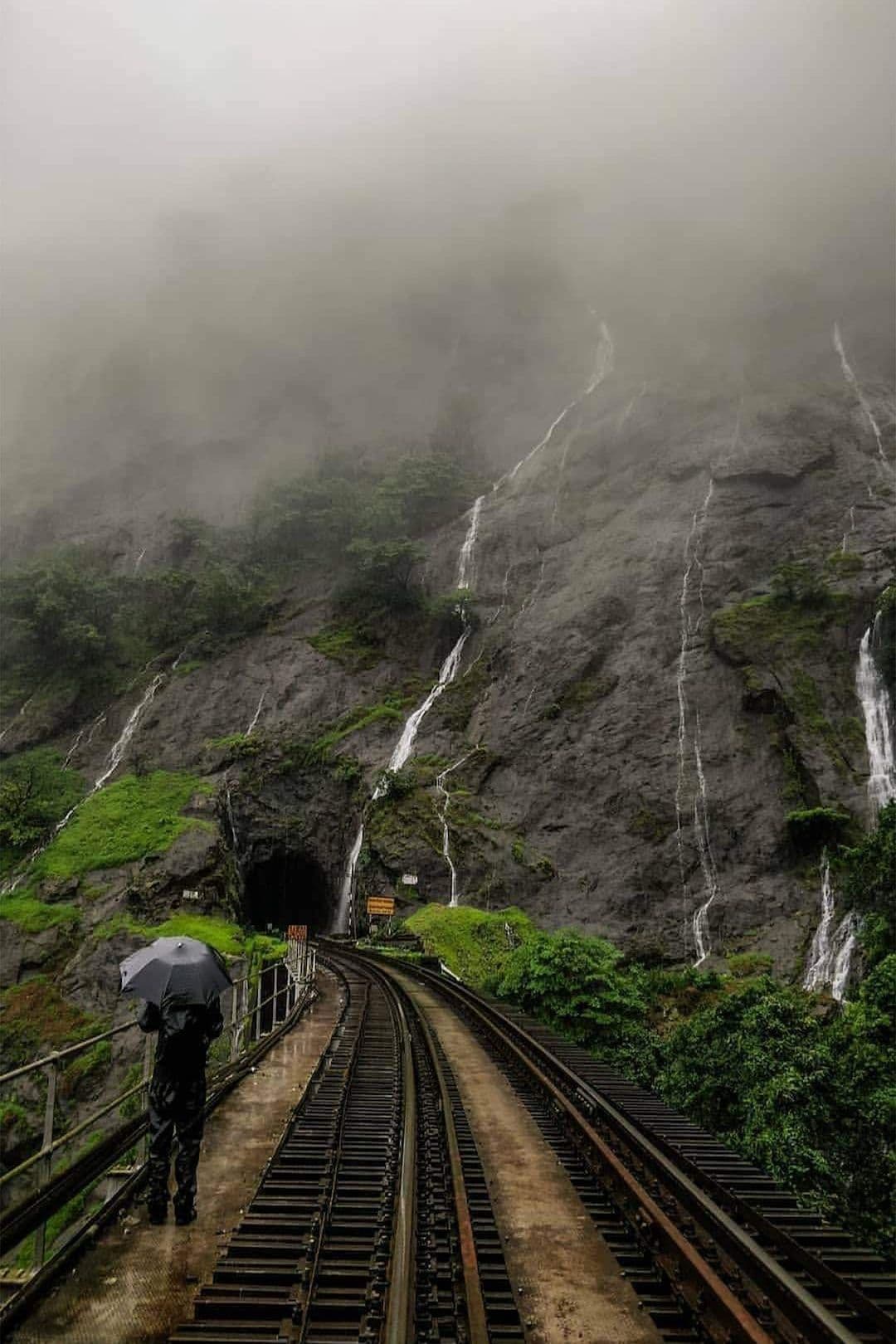 Dudhsagar Waterfalls Trekking