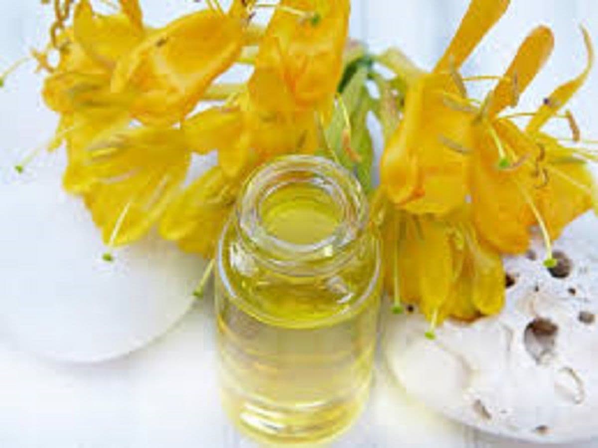 Honeysuckle Essential Oil Market | Global Industry Trends