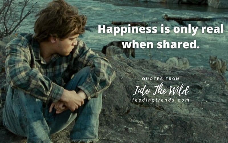 30 Into The Wild Quotes About Life, Adventure and Happiness