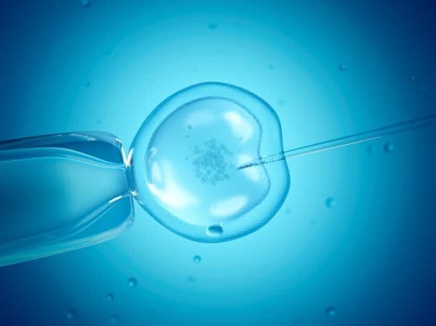 Fertility Centre Services: Beyond Ivf Treatment