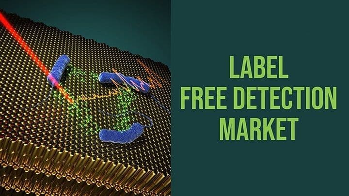 Label-Free Detection Market Research 2028 - Value Market Research