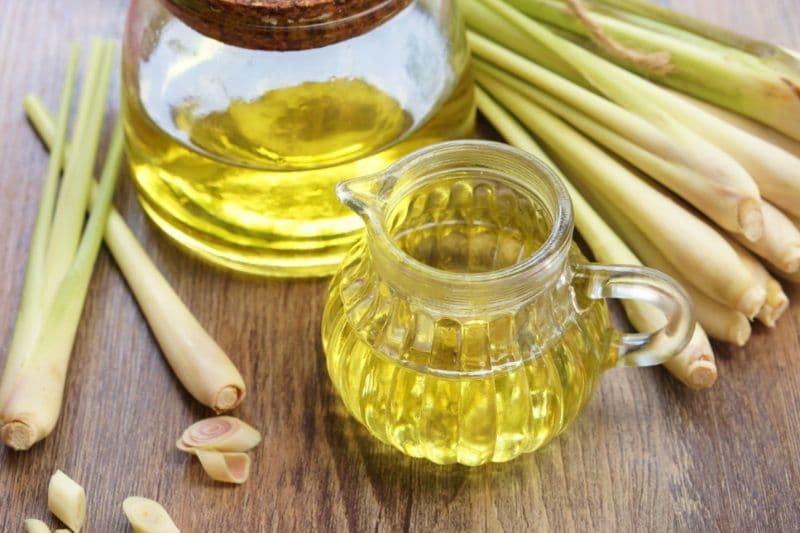 Lemongrass Oil Market Insight | Outlook | Growth Analysis 
