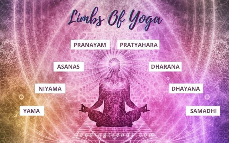 8 Limbs Of Yoga For A Peaceful State Of Mind