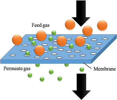 Membrane Separation Market Analysis and Advancements Outlook