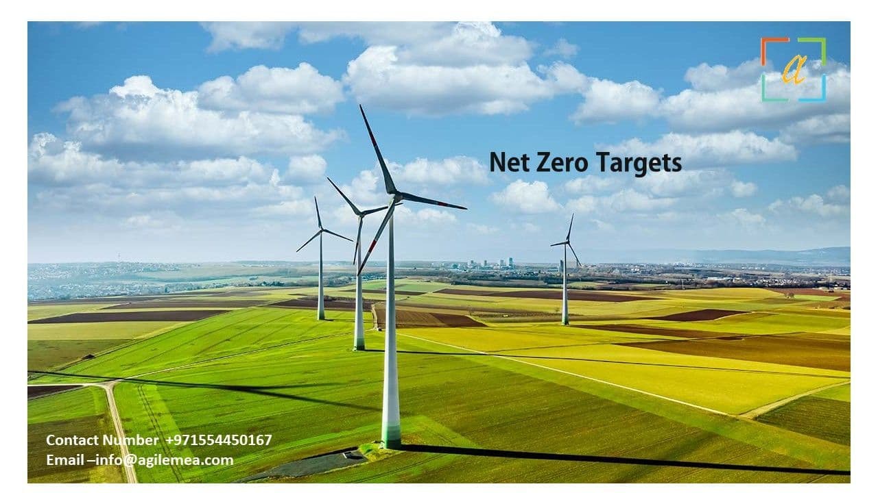 Net Zero Targets