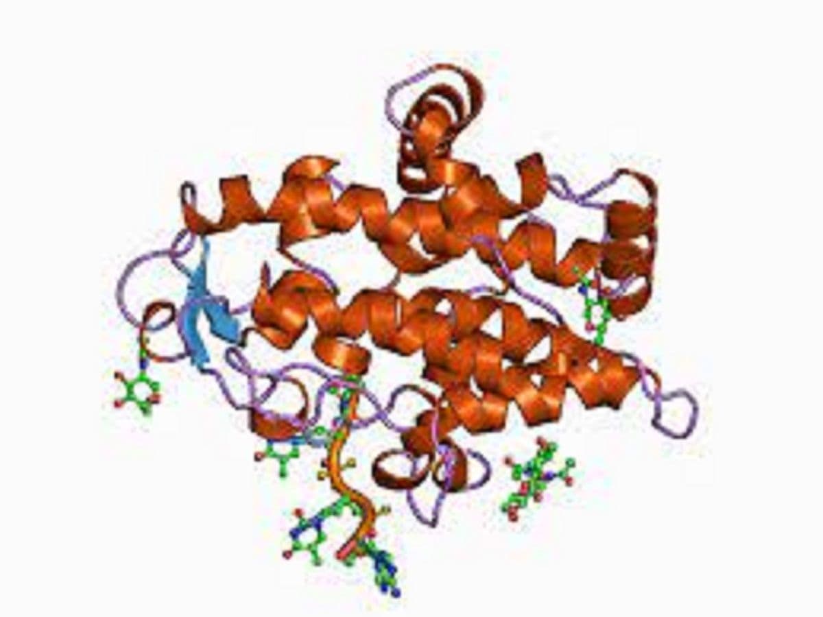 Nuclease Market 2022: Covid-19 Impact Analysis Report