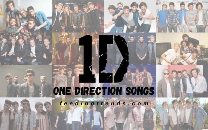 40 One Direction Songs Which Are Evergreen