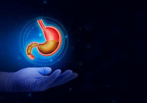 Pepsin Market 2023 Size, Top Players and Future Forecasts to 2029