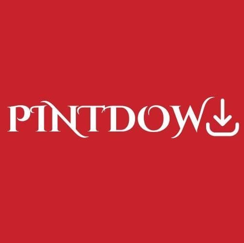 Pinterest Gifs Downloader: Effortlessly Save