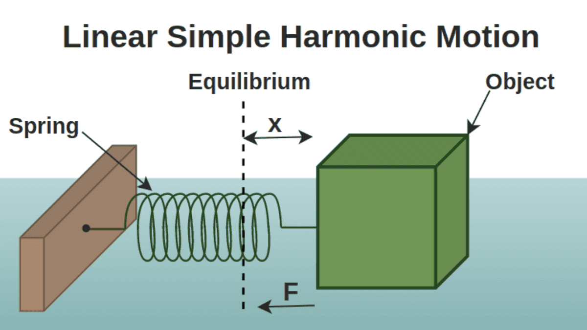 Simple Harmonic Motion (Shm)