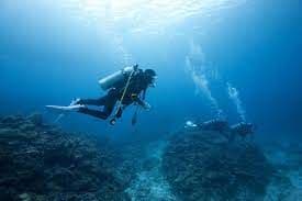 Scuba Diving: The Ultimate Guide for Adventure Seekers

