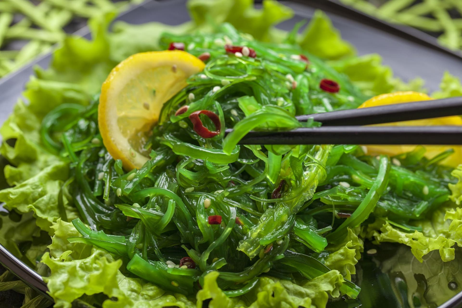 Seaweed Market | Global Industry Trends, Segmentation Report