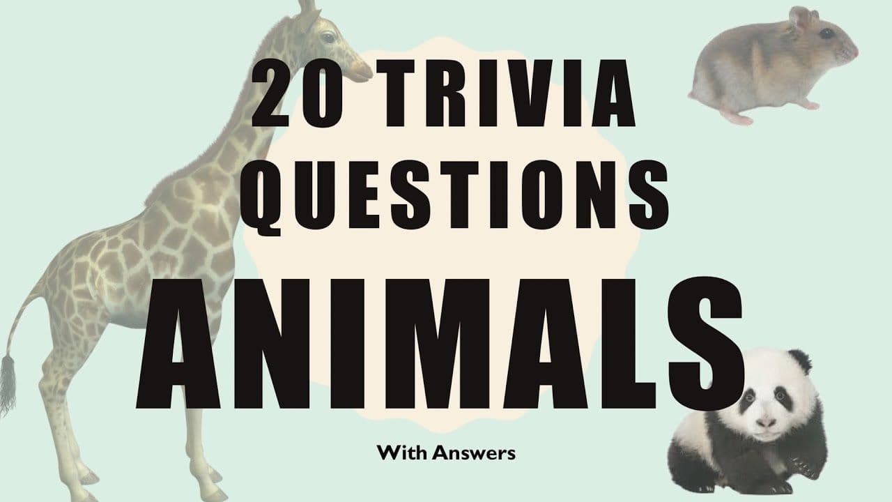 Some Animal Trivia Questions You May Don't Now