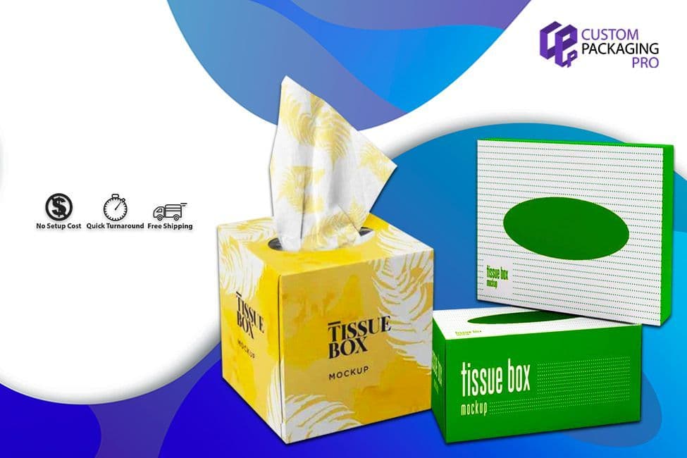 Tissue Boxes and Their Urge to Achieve Success