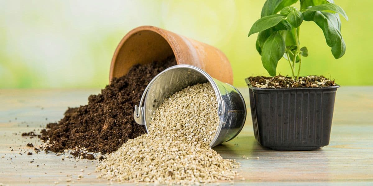 Growing Medium Market Size, Trends, Growth Analysis to 2033