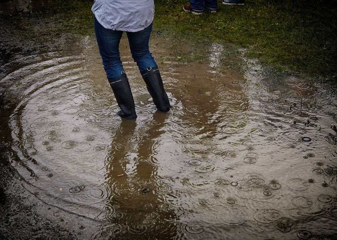 How to Identify Water Damage Early