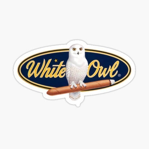 White Owl Symbolism Across Cultures: Myths and Folklore Unveiled