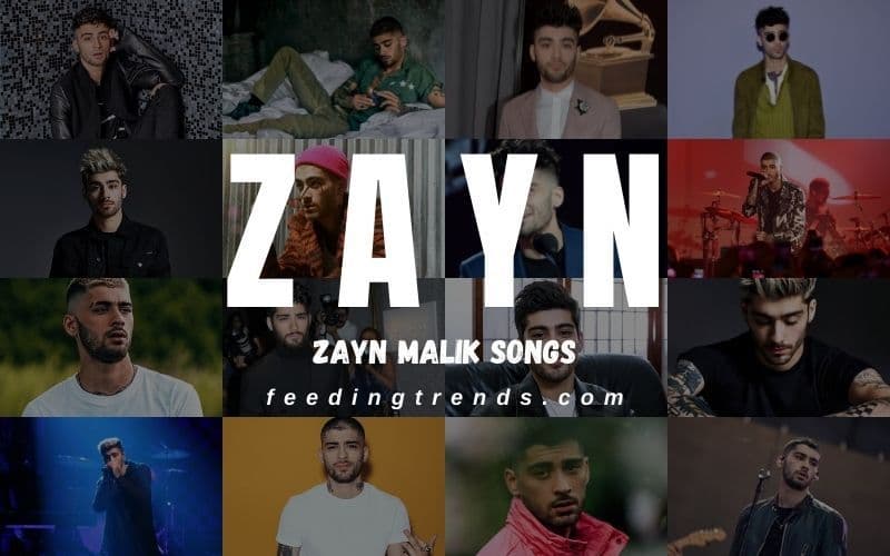 40 Zayn Malik Songs That Illustrate the Pure Talent of the Singer