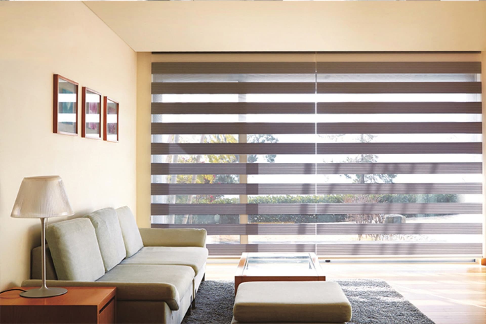 Zebra Blinds: The Perfect Blend of Style and Functionality