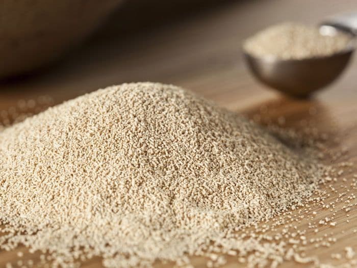 Bakers Yeast Market Expected to Expand at a Steady 2022-2030