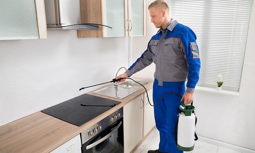 Don’ts to Hiring a Company for Pest Control in Brampton