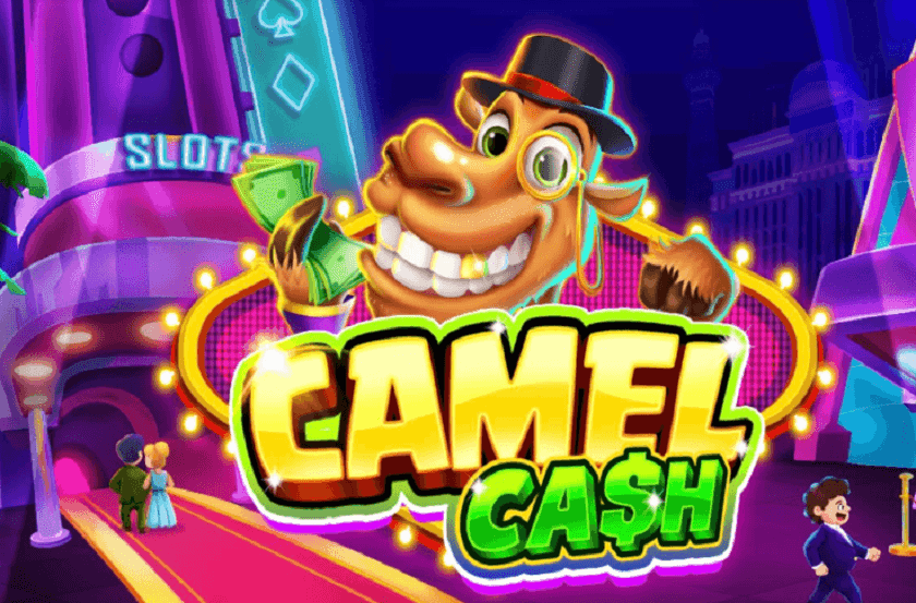 Enjoy the Best Casino Experience by Playing Camel Cash Casino