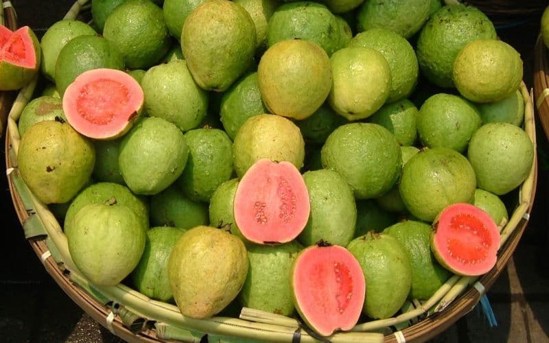 25 Guava Varieties From Across The World That Are Little Lesser Known