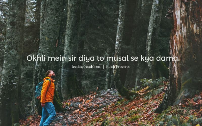 40 Hindi Proverbs With Meanings To Get Nuggets of Wisdom