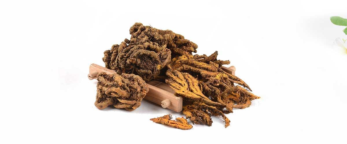 What Is Coptis Chinensis Root Extract?